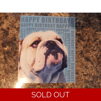 HAPPY BIRTHDAY CARD BULLDOG